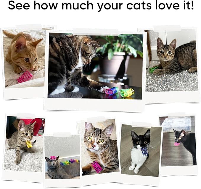AGYM 6Colors Plastic Spring Cat Toys, 60 Pack Spiral Springs for Indoor Cats to Swat, Bite, Hunt, Interactive Toys for Cats and Kittens