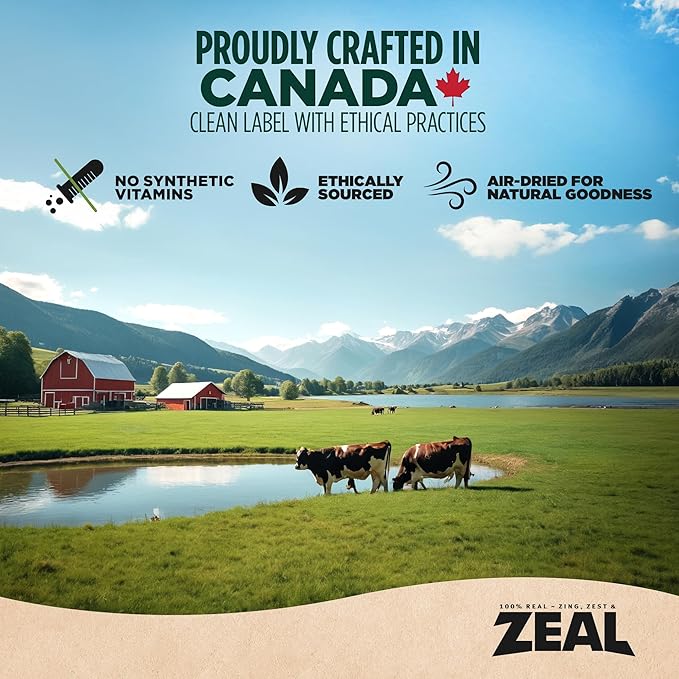 ZEAL Canada Air-Dried Beef Recipe for Dogs - High Protein, Natural Superfoods, Nutrient Rich, No Fillers, Grain Free, Complete & Balanced (Beef, 5 oz)