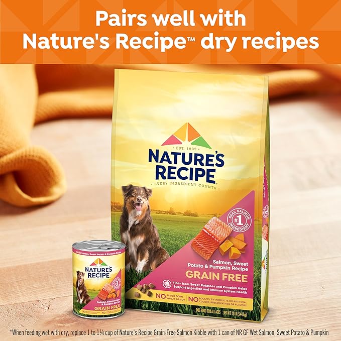 Nature's Recipe Grain Free Wet Dog Food Salmon, Sweet Potato, and Pumpkin Recipe, 13 oz. Can (Pack of 12)