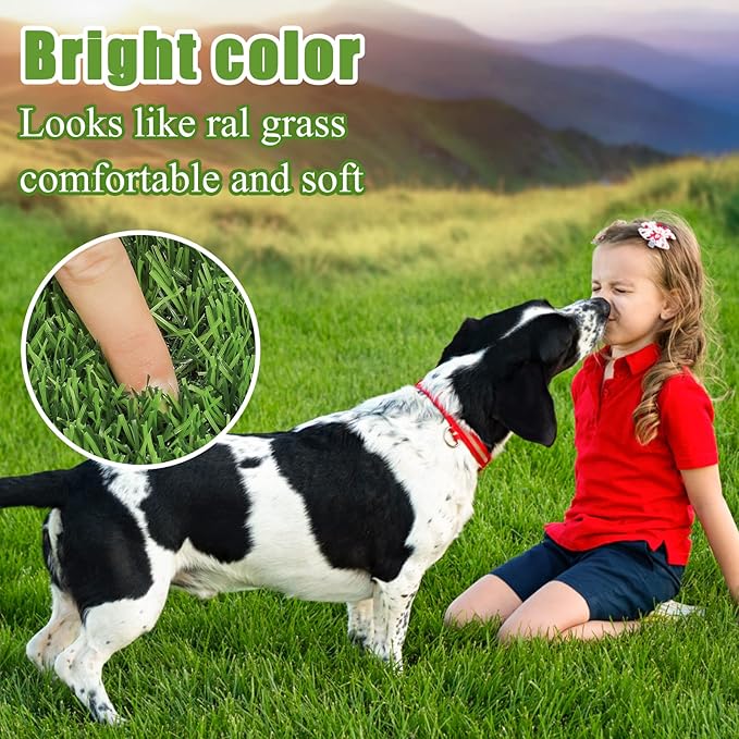 Bsmathom Artificial Grass Rug Indoor Outdoor Rug, Professional Dog Potty Training Rug, Fake Grass Rug Synthetic Grass Mat Door Mats with Drainage Holes for Balcony Patio Garden (39.3 x 31.5Inch)