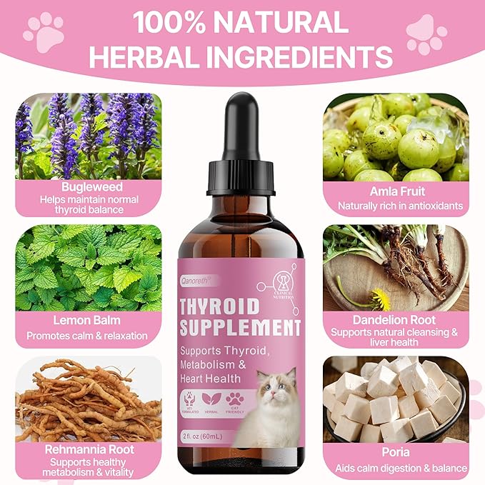 Thyroid Support for Cats, Natural Cat Appetite Stimulant & Cat Weight Gainer Drops – Helps Support Metabolism, Energy & Weight Gain for Cats – Vet-Formulated Herbal Liquid Supplement, 2 fl oz
