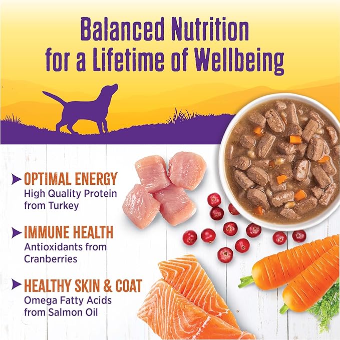 Wellness Complete Health Canned Wet Dog Food, Turkey Stew, 12.5-Ounce Can (Pack of 12)
