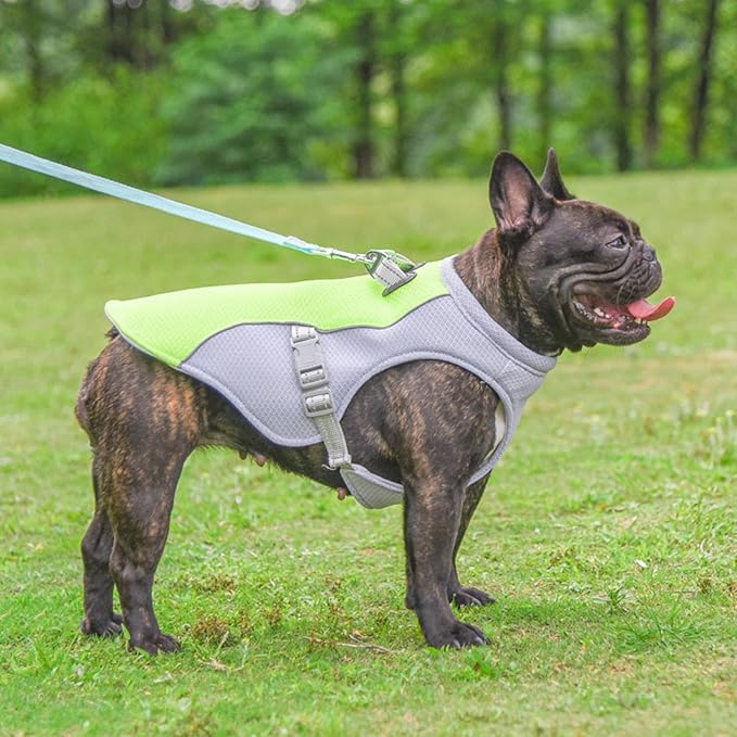 Dog Cooling Clothes Pet Vest Breath-able Mesh Fast-Dry with Reflective Strip Dogs Supply Mesh Fabric Clothing Lightweight for Dogs