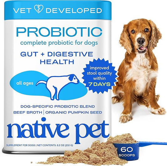 Native Pet Probiotics for Dogs - Dog Probiotics Powder for Digestive Health, Gut Support, & Immune Boost – Vet-Formulated Powder for Maximum Potency with Digestive Enzymes & Prebiotics - 60 Scoops