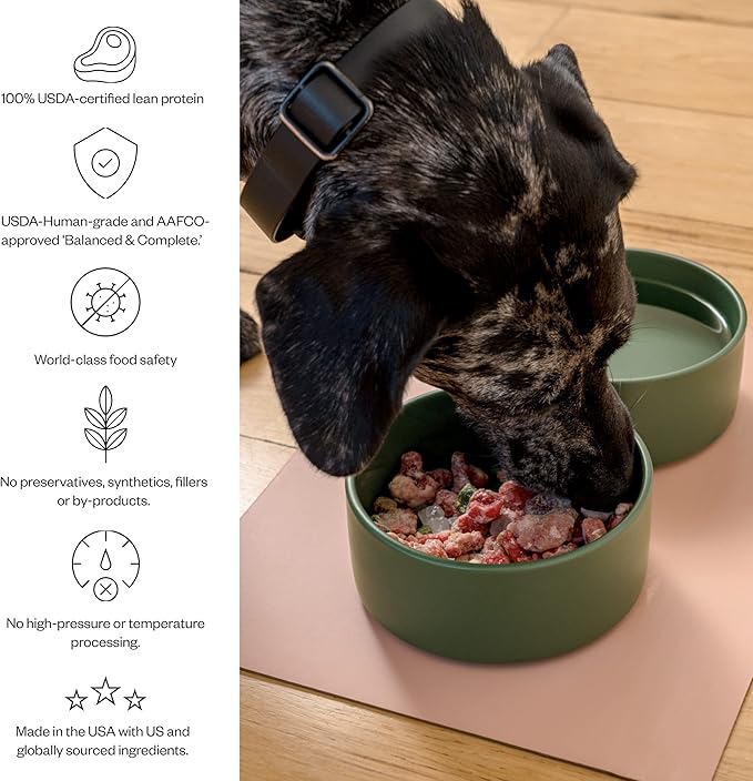 Maev Raw Dog Food, Better Than Freeze Dried Flash Frozen with Lean Beef Protein, Vitamin-Rich Organ Meat in Every Serving, Weight and Digestion Formulation, Adult Dogs, 10 Pounds (2 Packs) White