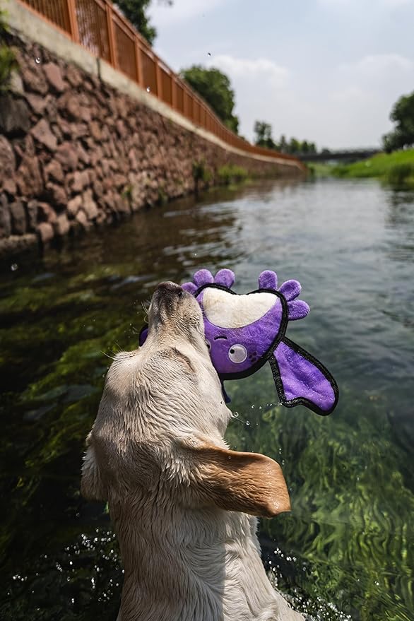 Dog Toy, Squeaky Plush Dog Toy, Rough & Tough Interactive Pet Toy, Recycled Fabric and Double Stitched (Crab)