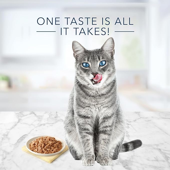 Blue Buffalo Tastefuls Flaked Wet Cat Food, Made with Natural Ingredients, Tuna Entrée in Gravy, 5.5-oz Cans (24 Count)