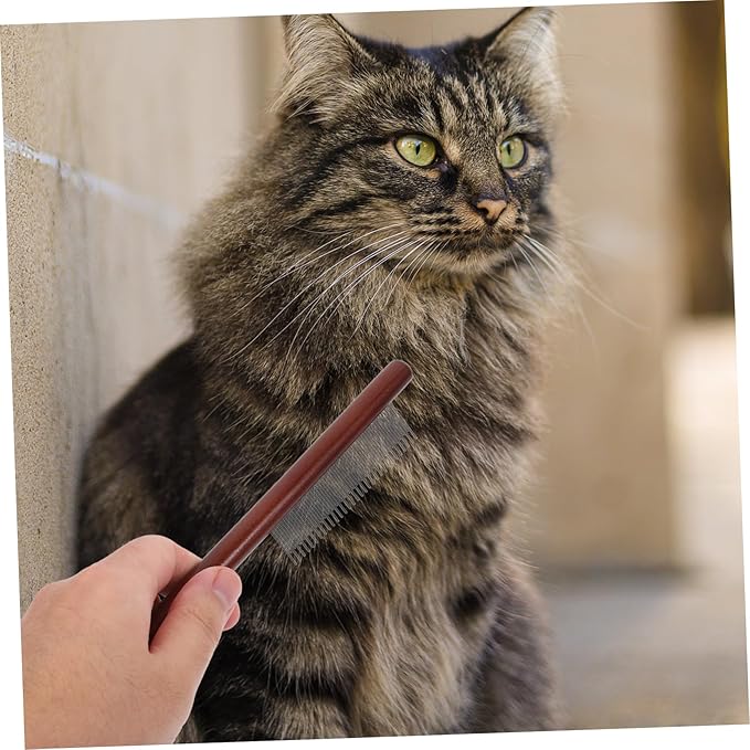 3pcs Tear Stain Brush for Small Dogs Cat Grooming Supplies Dog Grooming Combs Pet Comb Wooden Handle