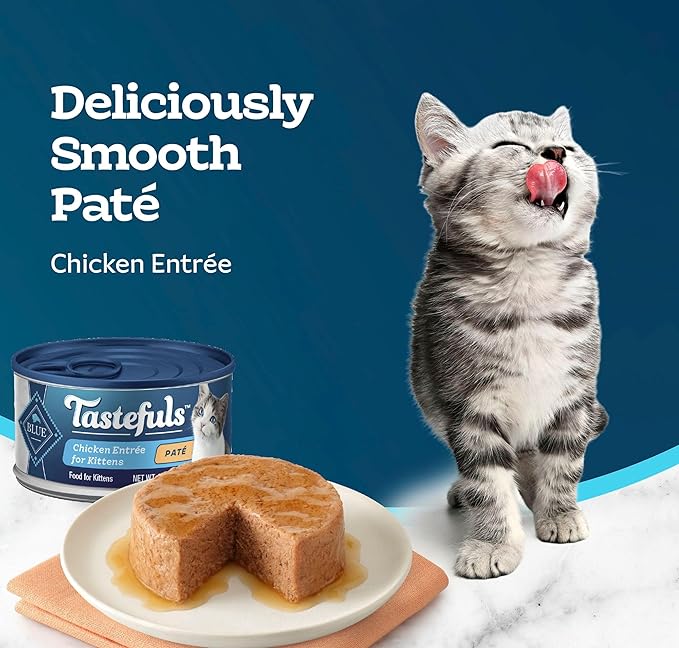Blue Buffalo Tastefuls Wet Cat Food Paté for Kittens, Made with Natural Ingredients | Chicken Entrée, 3-oz. Cans (24 count )