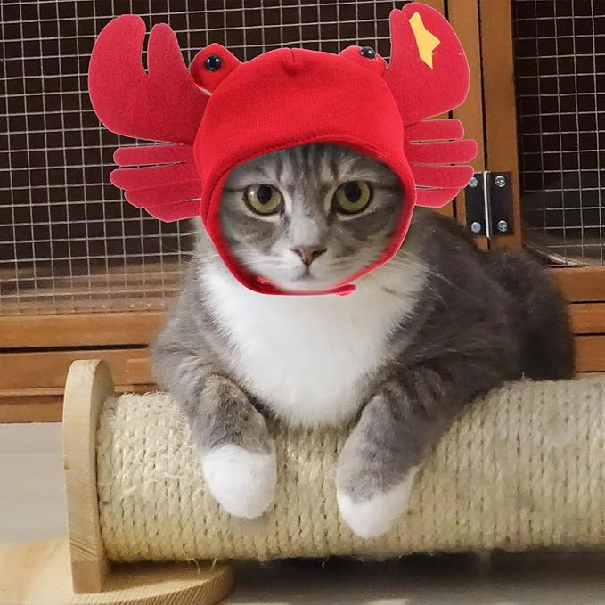 SOLUSTRE Dog Cosplay Hat Crab Shaped Pet Costume Headwear Decorative Headband for Dogs and Puppies Party Playing Supplies