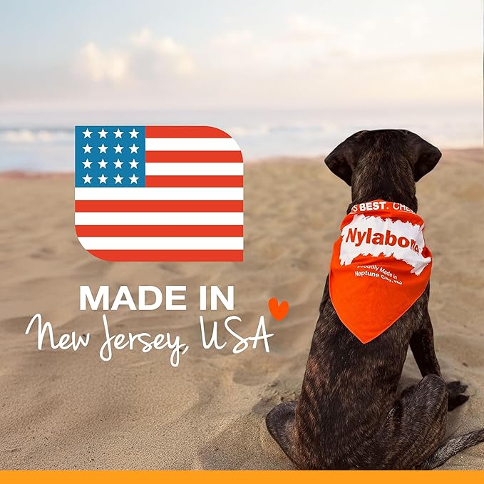 Nylabone Wishbone Strong Chew Toy for Dogs Made with Real Bacon, Durable Dog Chew Bones for Aggressive Chewers, Long-Lasting Flavor Keeps Dogs Busy, Small Dog Toys - Up to 25 lbs, 1 Count