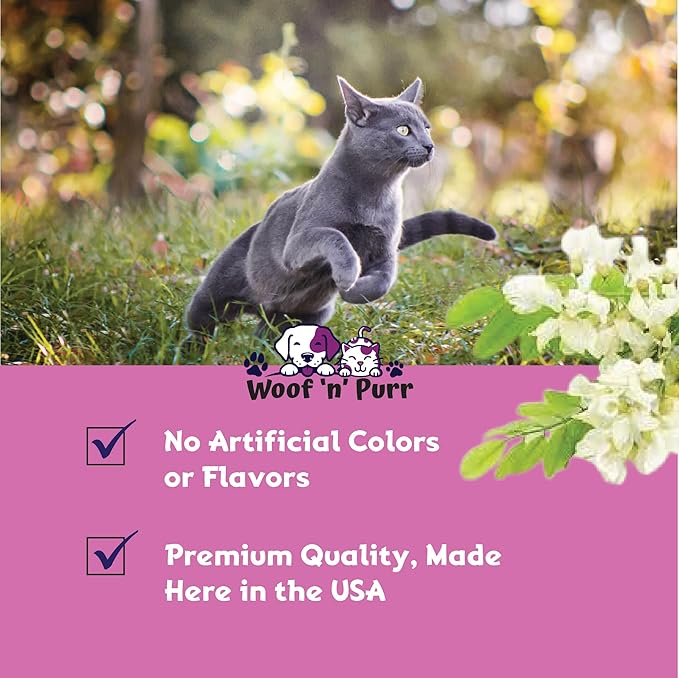 Immune Support for Cats - Helps to Support a Healthy Immune System - Cat Immune Booster - Cat Immune Support - Cat Immune Supplement - Immune Support Cats - Cat Immune Support Supplement - 1 fl oz