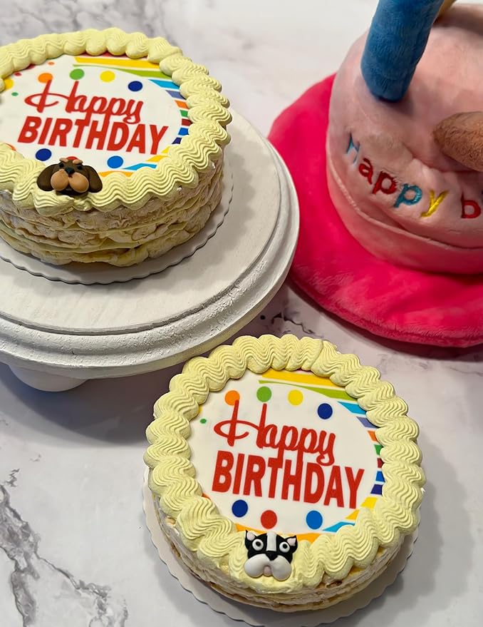 Lot of 6 Dezicakes Crispy Yellow PopCorn Dog Birthday Cakes- Edible Puppy Party Crispy Corn Grits Cake- Handmade with Love- Perfect Dog Party Cake Boxed, Iced and Decorated