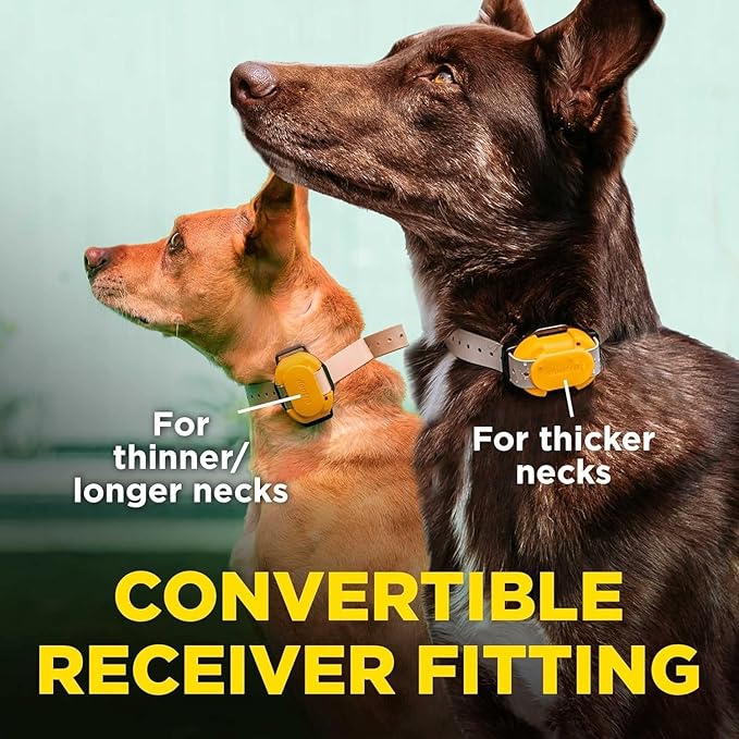 CUE Add On Black Ecollar with Safety Level Lock Boost Vibration Waterproof Rechargeable for Small Medium Large Dogs Dog Training Collar by Dogtra