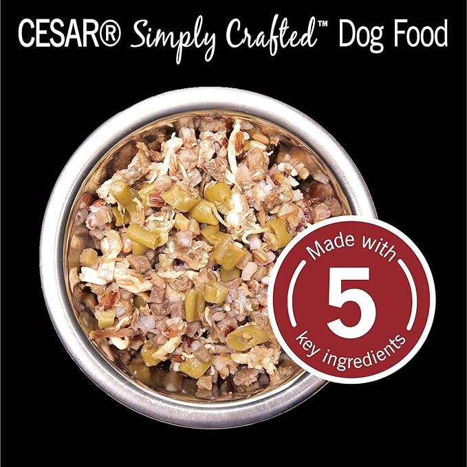CESAR SIMPLY CRAFTED Adult Soft Wet Dog Food Meal Topper Beef, Chicken, Purple Potatoes, Green Beans & Red Rice, (10) 1.3 oz. Tubs