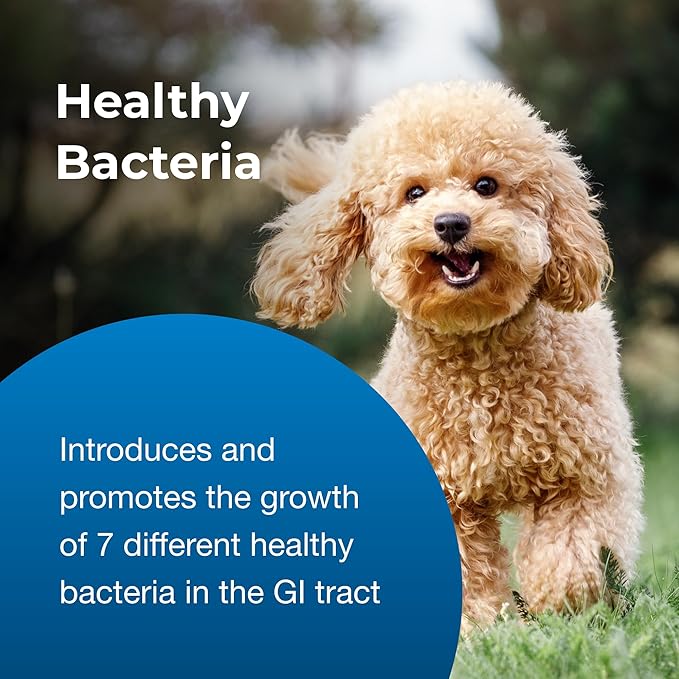 PetAg Bene-Bac Plus Pet Gel - 15 g Syringe - FOS & Probiotics for Dogs, Cats, Exotic & Wildlife Mammals
