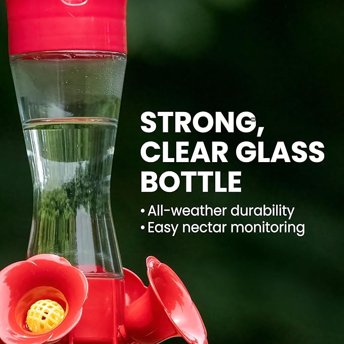 Perky-Pet 203CPBN-2 Glass Hummingbird Feeders for Outdoors with Perches,Ant Moat,Bee Guards -,2 Count (Pack of 2)