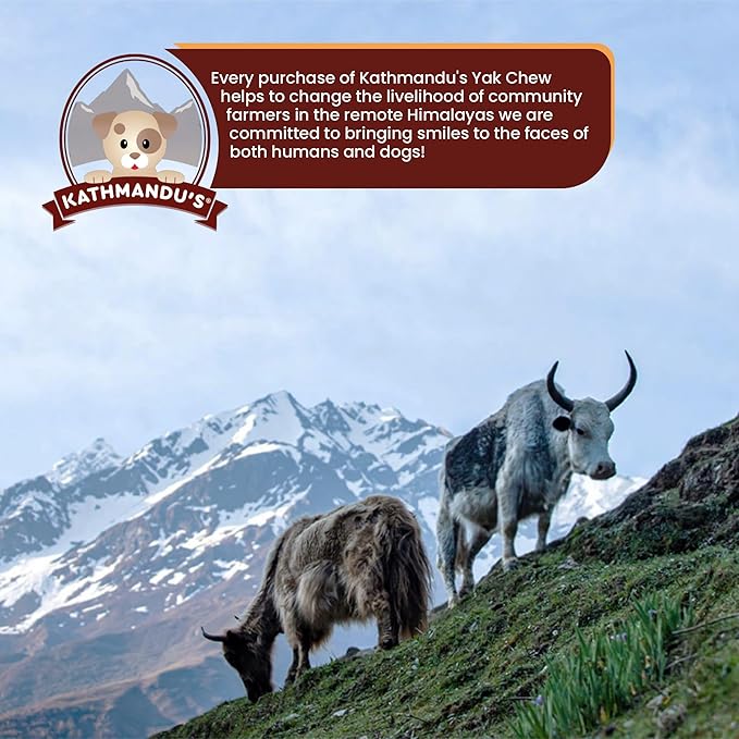KATHMANDU'S Yak Chew Nuggets Dog Treats - (1 lb Bag) Long Lasting Himalayan All Natural Cheese Treats, Healthy Dental Chews for Aggressive Chewers, Training Dogs Treat | Yak Milk Chew Bites