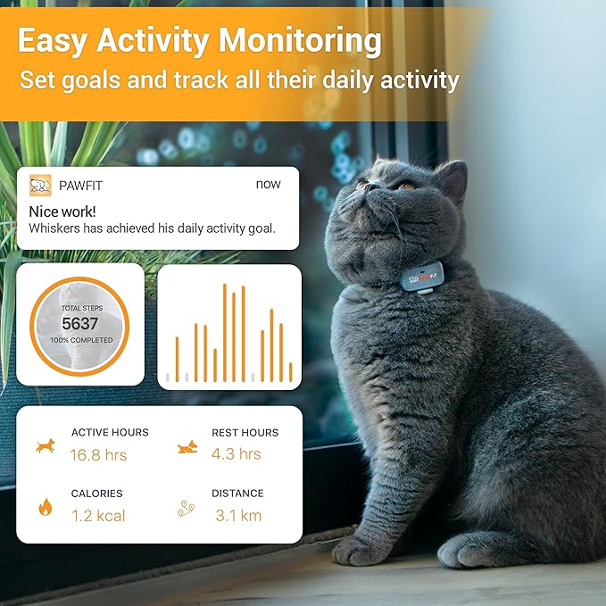 Pawfit Lite for Cats 4g GPS Tracker | Ultra-Small (<18g) Design | Real-Time Tracking | Activity Monitoring | Location History | Unlimited Range | Safety Collar Included | Charcoal Grey