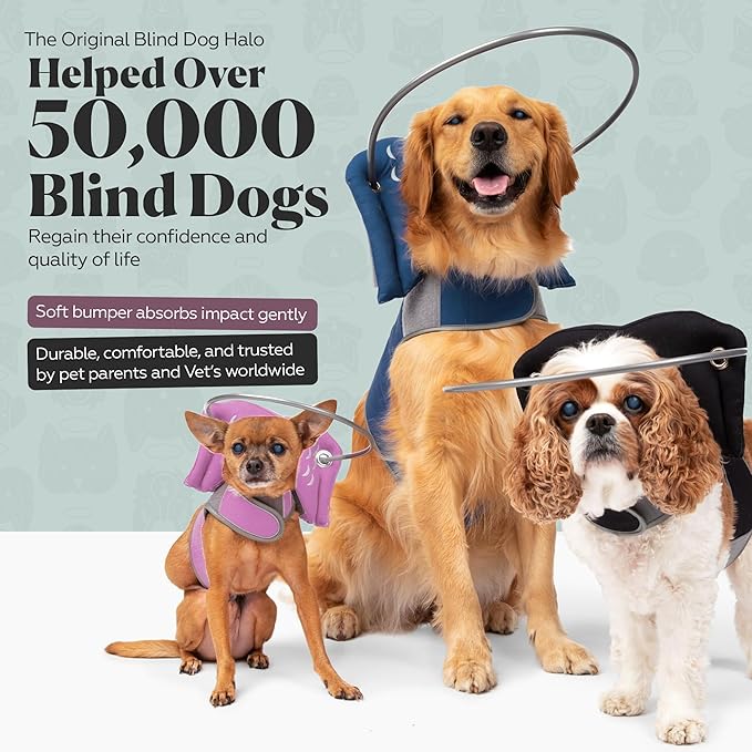 Muffin’s Halo® – The Original Blind Dog Halo | Harness & Bumper Collar Accessory for Safe Navigation & Confidence – Pink, Size 5