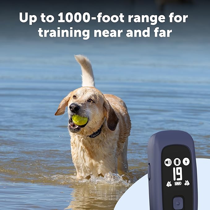 PetSafe Pro Dog Trainer with Remote - Effective Dog Training - 15 Levels of Static Correction - Waterproof Collar - Rechargeable Training Collar - Compact Remote Transmitter