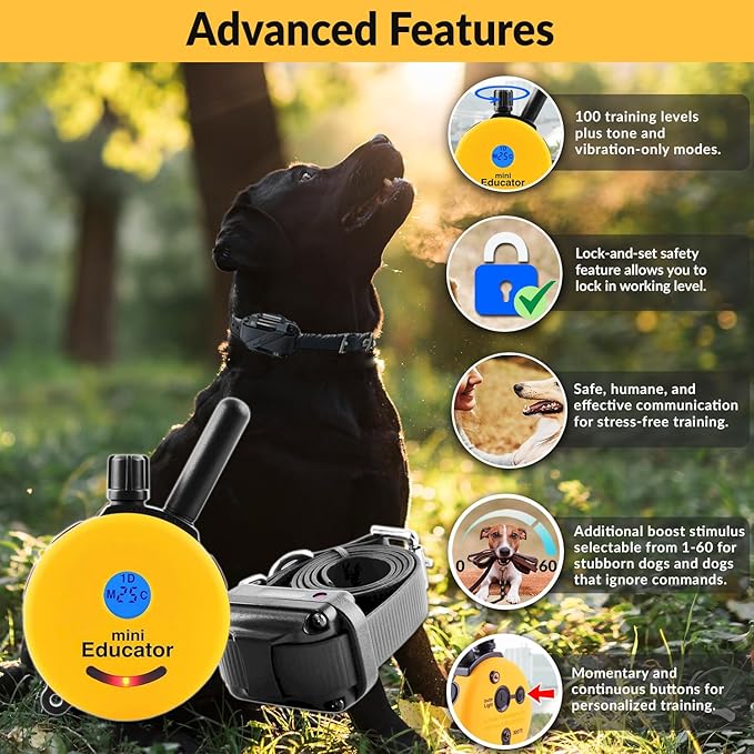ET-300 Mini Educator E-Collar Humane Dog Training Collar with Remote & Night Light–100 Levels Gentle Tapping Stimulation, Waterproof & Rechargeable–1/2 Mile Range–For 1 Small to Medium Dog–Yellow