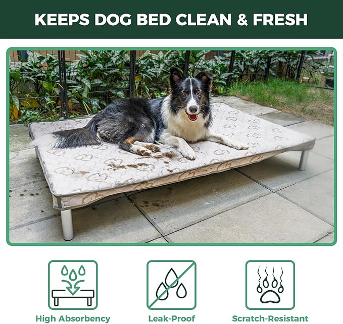 FXW TitanNest Chew-Proof Elevated Dog Bed, Raised Cot for Indoor/Outdoor/Camping Use, Durable & Washable Padded Pet Bed with Exclusive Cover for Medium Dogs, 41.0" L x 27.0" W x 5.0" H, Black