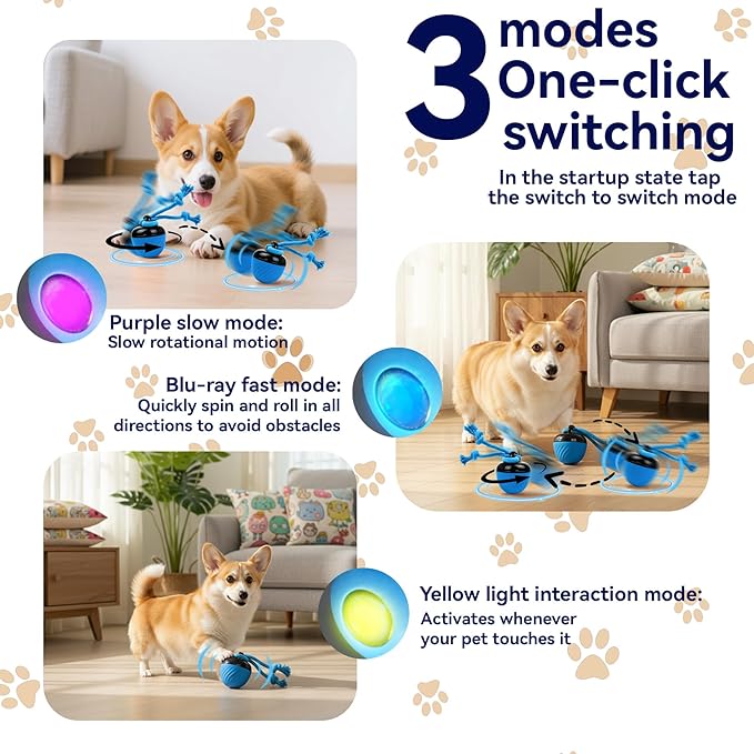 Interactive Dog Toys with Motion Activated, Squeaky Dog Toy Active Rolling Ball for Puppy and Medium Dogs, USB Rechargeable, Wicked Ball