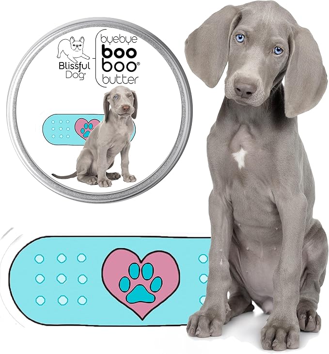 The Blissful Dog 8 oz Tin Weimaraner Booboo Butter