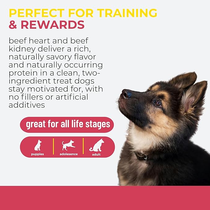 Momentum Carnivore Nutrition Freeze-Dried Beef Training Bites – Two Ingredients-Beef Kidney and Heart, Grain-Free, All-Natural Dog Treats –Made in USA – Perfect for Training & Rewards- 2.5 oz Bag