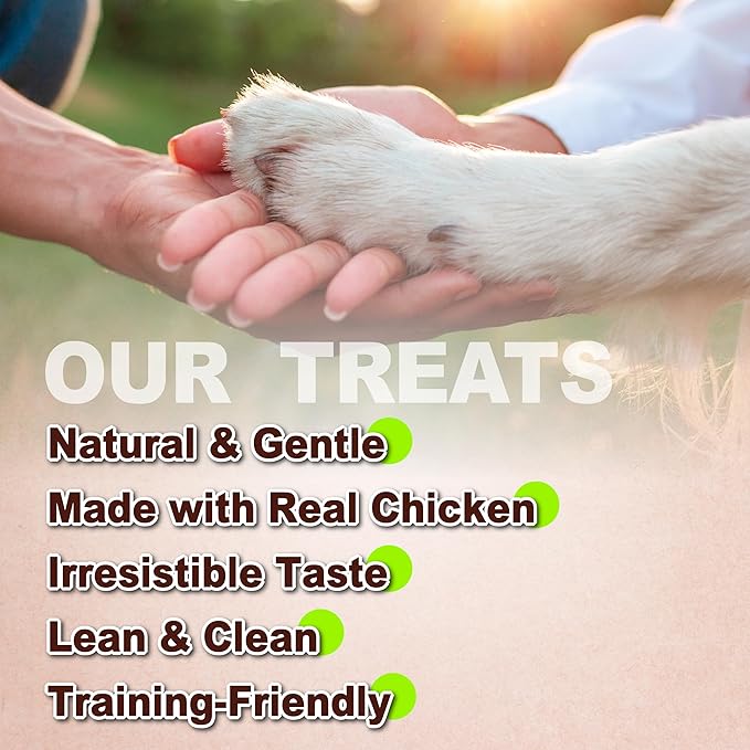 A Freschi srl Chicken Dog Treats, All Natural, Healthy & Easily Digestible, Low-Fat Puppy Chews, Human Grade Training & Rewards Dog Snacks, Rice Bone, 16 oz Pack