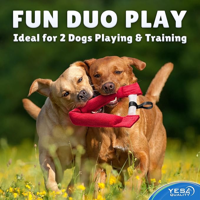 YES4QUALITY Dog Toy - Tug of War for Dogs - Horseshoe Shape Pull and Play Toy for 2 Dogs - 10x11 Inch, Fun Fuchsia - Durable Training and Exercise Equipment for Medium to Large Breeds