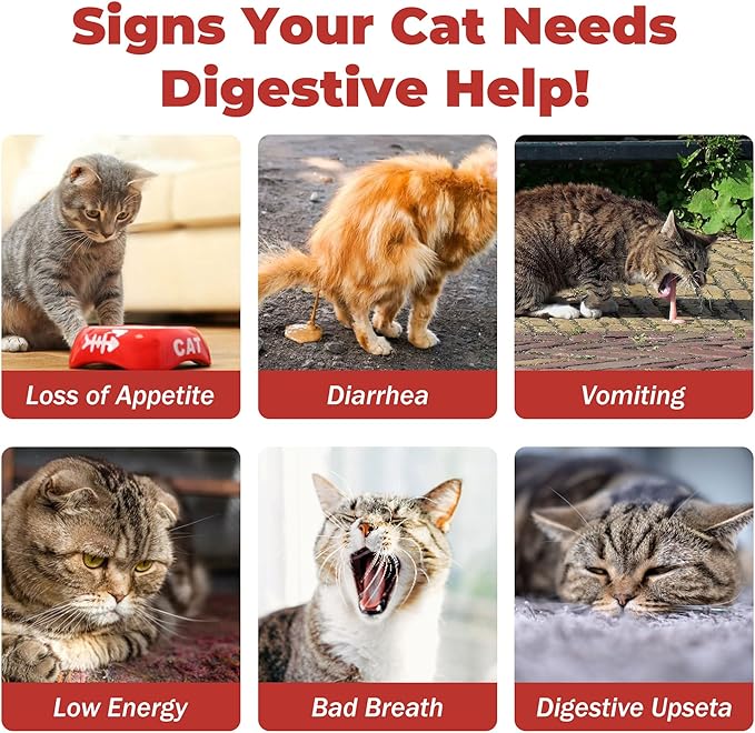 Probiotics for Cats & Digestive Support Gel – Cat Probiotic with Prebiotics, Taurine & Papain – Supports Gut Balance, Digestive Support & Immune Health – for Kittens & Adult Cats, Constipation Relief