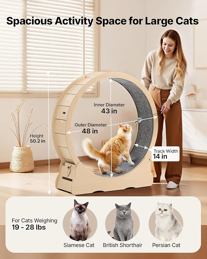 VEVOR Cat Exercise Wheel, 48 in Wooden Cat Running Wheel for Indoor Cats up to 28 lbs, Cats Treadmill with Carpeted Runway & Locking Mechanism, Quiet Roller Kitten Sport Toys for Pets Fitness & Health