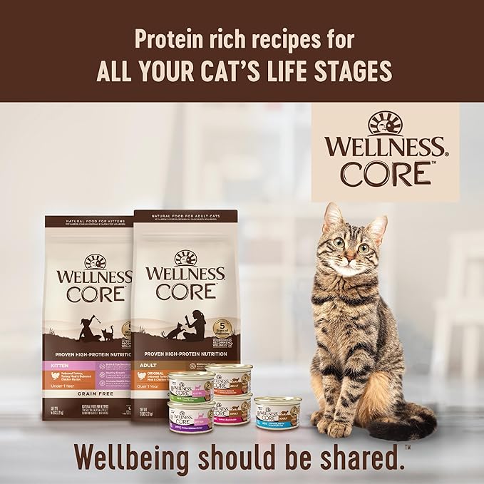 Wellness CORE Signature Selects Shredded Adult Wet Cat Food,Natural,Protein-Rich,Grain Free,2.8 Ounce (Chicken & Chicken Liver),(Pack of 24)