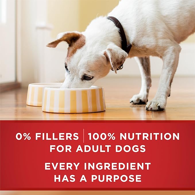 Purina ONE Tender Cuts in Gravy Chicken and Brown Rice and Beef and Barley Entrees High Protein Wet Dog Food Variety Pack (Pack of 12)