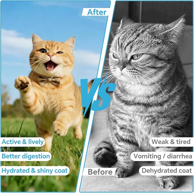 Cat Electrolytes & Hydration - Supports Post-Surgery & Illness Recovery - Immune Support with Electrolytes, Glucose for Energy, Omega-3, Antioxidants, Prebiotics - Oral Syringe - 10.14 fl oz