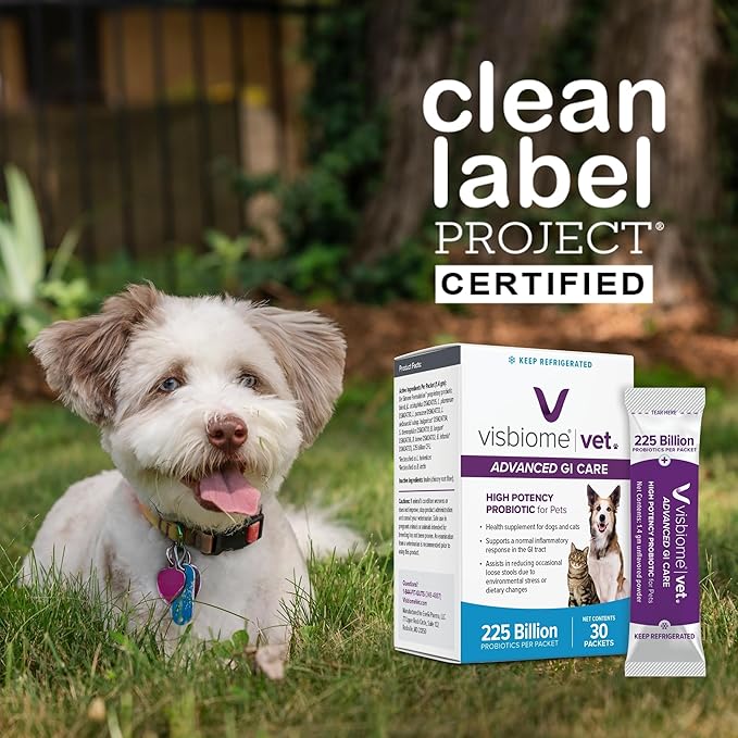 Visbiome® Vet Advanced GI Care High Potency Probiotic for Dogs & Cats – 225B CFU, 8-Strain Formula – Refrigerated, Veterinarian Recommended, Clean Label Certified – 90 Packets