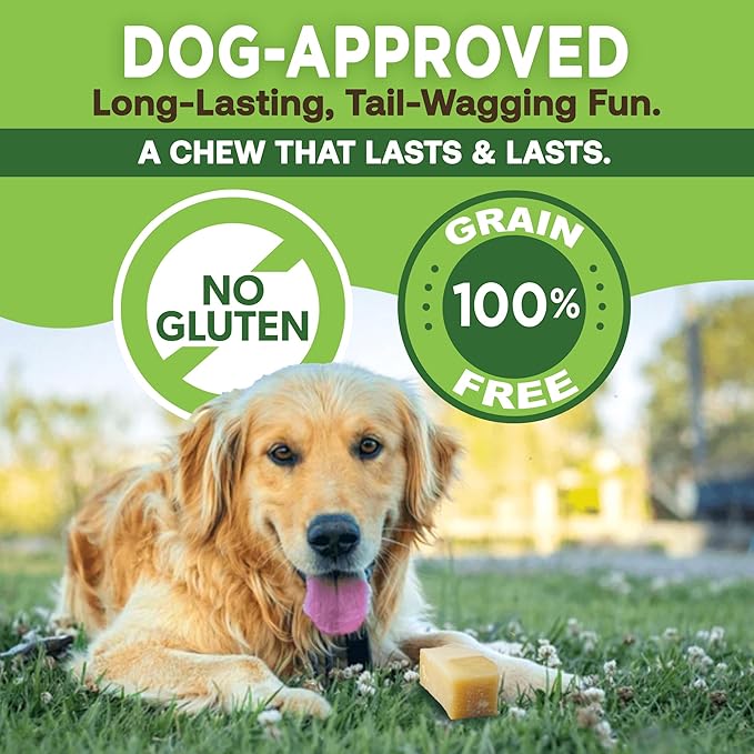 EcoKind Premium Gold Yak Cheese Himalayan Dog Chews, Dog Treats Large Breed, All Natural, High Protein Dog Chew, Cheese, Large - 12+ Chews (3 lbs)