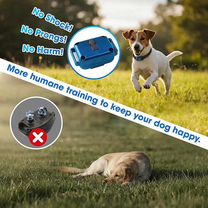 Lightest No Shock Dog Training Collar with 2000ft Remote,Tiniest Vibrating Dog Collar,Vibration Collar for Small Dogs 5-15lbs & Medium Large Dogs, Safe Lock, Beep, Vibrate, No Prongs, Waterproof,Blue