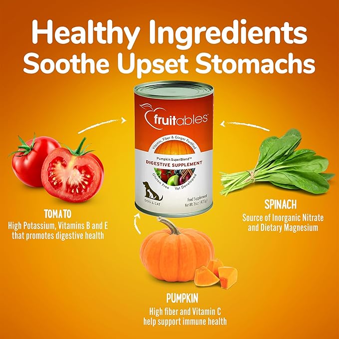 Fruitables Pumpkin Digestive Supplement – Made in USA Canned Pumpkin Puree for Dogs & Cats - Dog Digestive Support - 15 oz (4 Pack)