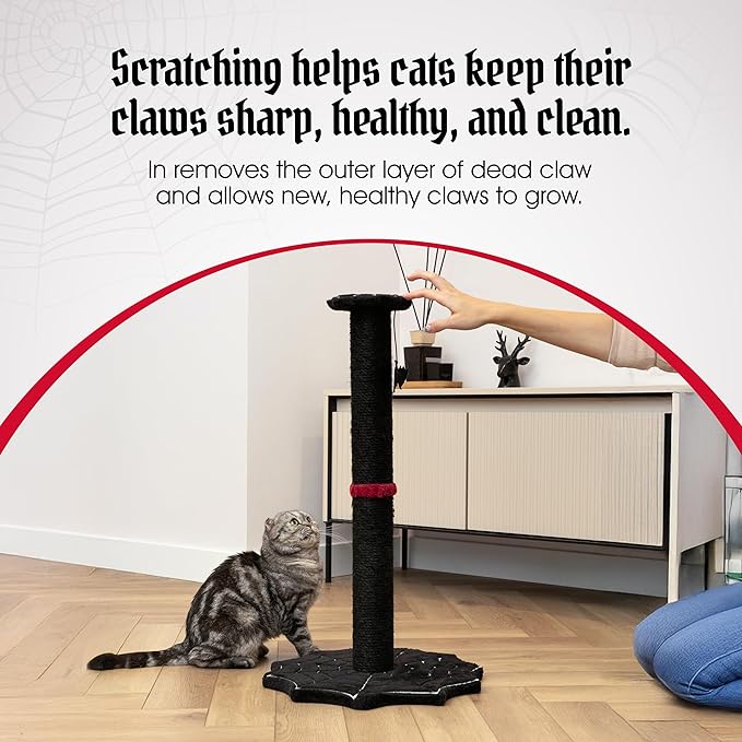 Gothic Cat Scratching Post with Spider Web Floor Foundation and Bat Toys, Halloween Cat Scratcher, Cat Scratchers for Indoor Cats, Black cat Scratcher, Spooky Cat Accessories from Littlesy