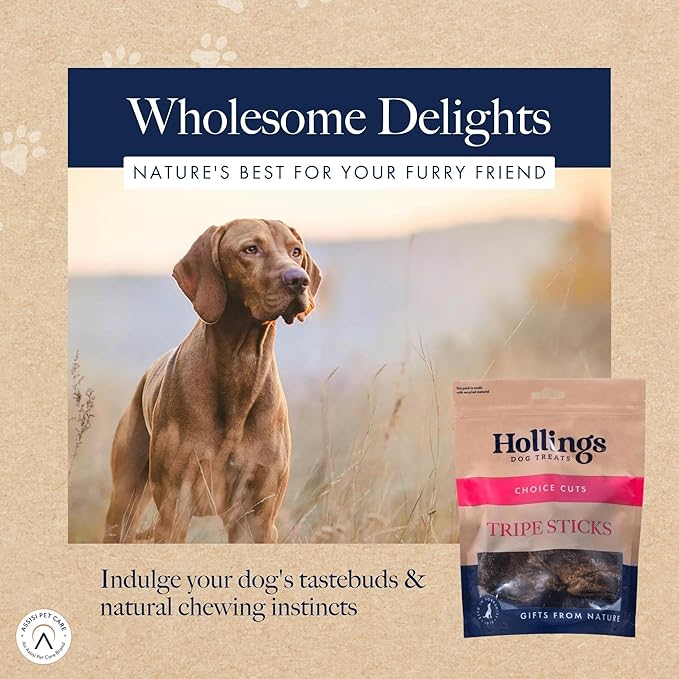 Hollings Tripe Sticks for Dogs 100g