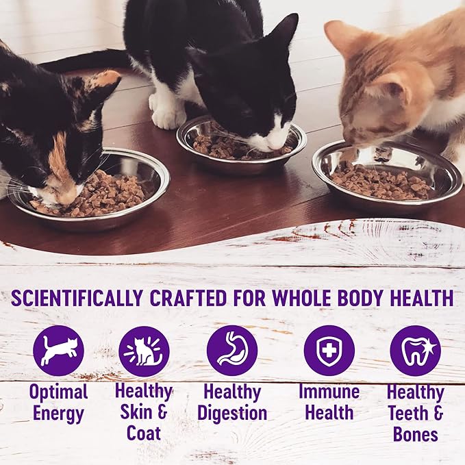Wellness Healthly Indulgence Morsels Adult Wet Cat Food, Natural, Protein-Rich, Grain Free, 3 Ounce Pouch, 24 Pack, (Turkey & Duck)