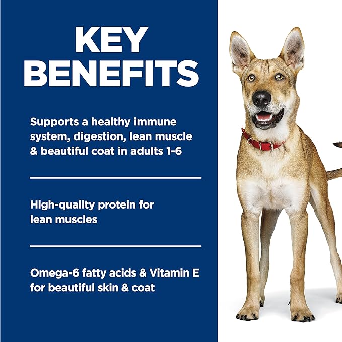 Hill's Science Diet Adult 1-6 Premium Nutrition Wet Dog Food, Chicken & Barley, 13 oz. Cans, 12-Pack