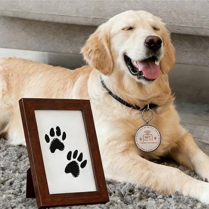 AiVIE Puppy Starter 10-Piece Set | Dog Gift Basket, Pet Gift Box & Interactive Toy Pack,Perfect for New Puppy Welcomes,Birthdays & Christmas,Memorial Day—Pet Gifts for Doggie Lovers