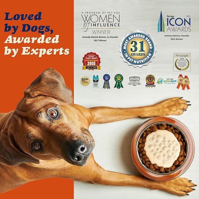CLEAR CONSCIENCE PET® Arfredo™ SuperGravy® Natural Dog Food Gravy Topper, Hydration Broth Mix, Gluten and Grain Free Kibble Seasoning Powder Topper for Picky Eaters (18 oz. (120 Scoop))