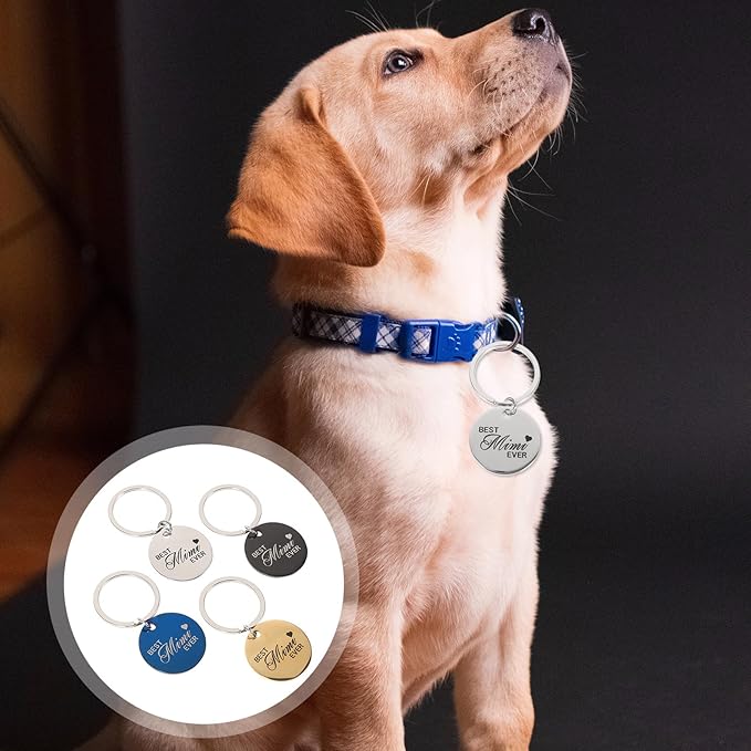 KALLORY 4pcs Stainless Steel Pet Id Dog Tag Keychain Set, Round Engraved Name Tags for Collar, Includes Silver, Dark Gray, Navy, and Yellow, Sturdy Pet Supplies for Cats and Dogs