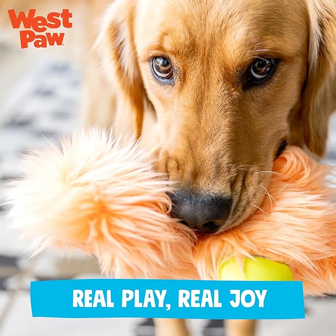 WEST PAW Rowdies Helga Durable Plush Dog Toy with Reinforced Seams Chew Resistant HardyTex Fabric and Interactive Squeaker for Safe Indoor and Outdoor Playtime Bundle for Dogs - Seafoam