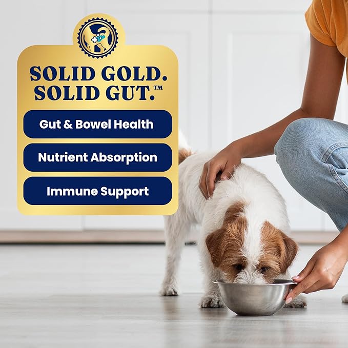 Solid Gold Canned Dog Food for Adult, Puppy & Senior Dogs - High Calorie, High Protein Wet Dog Food w/Real Chicken, Whole Grains & Superfoods for Gut Health - Small, Medium & Large Breed Dogs -6 Pack